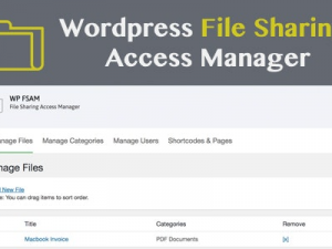 WP FSAM (v1.1) File Sharing Access Manager