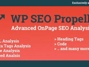 WP SEO Propeller (v1.3.1) Advanced SEO Analysis Tool