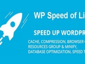 WP Speed ​​of Light Addon v3.3.4 JoomUnited