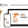 Welsh Corgi (v1.0.13) Dog Breeding and Sale WordPress Theme