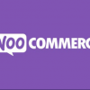 WooCommerce Name Your Price v3.5.14