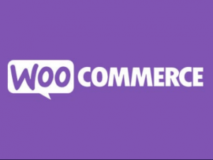 WooCommerce Name Your Price v3.5.14