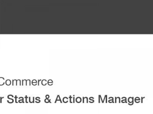 WooCommerce Order Status & Actions Manager (v2.4.11)