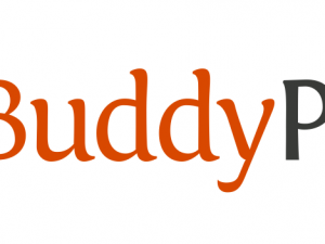 BuddyPress v12.3.0 All Addons