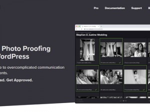 Fixed* picu Pro (v1.4.6) Online Photo Proofing with WordPress