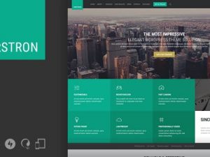 Forstron v2.1.3 Legal Business WordPress Theme