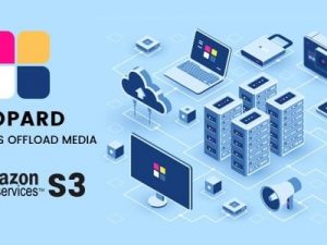 [Fixed*] Leopard (v3.0.0) WordPress Offload Media