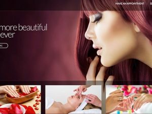 CSS Igniter Beaute v2.0.6 WordPress Theme