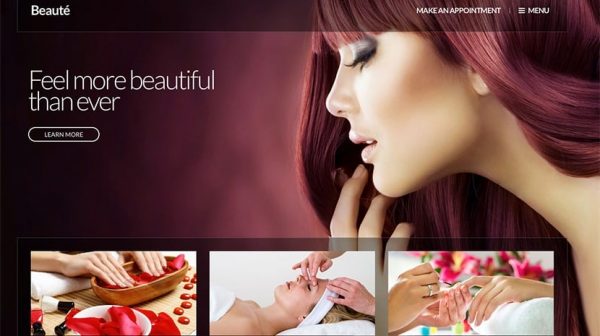 1726081365 CSS Igniter Beaute WordPress Theme Nulled