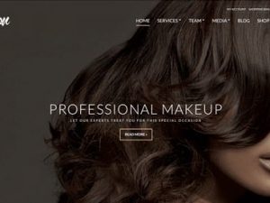 CSSIgniter Salon WordPress Theme v1.1.1