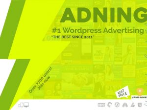 Adning Advertising (v1.6.3) All In One Ad Manager for WordPress