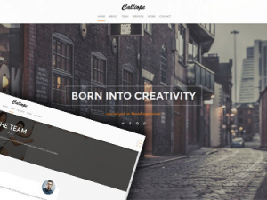 Calliope (v1.0.8) Portfolio & Agency WordPress Theme