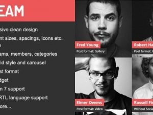 DV Team (v2.2) Responsive Team Showcase WordPress Plugin