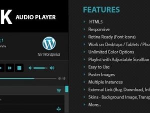 Disk Audio Player For WordPress v2.9