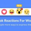 Reactify (2.7) Facebook Reactions For WordPress