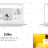 Seline (v1.1.4) Creative Photography & Portfolio WordPress Theme