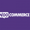 WooCommerce Product Retailers (v1.18.1)