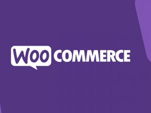 WooCommerce Product Retailers (v1.18.1)